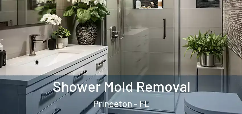 Shower Mold Removal Princeton - FL