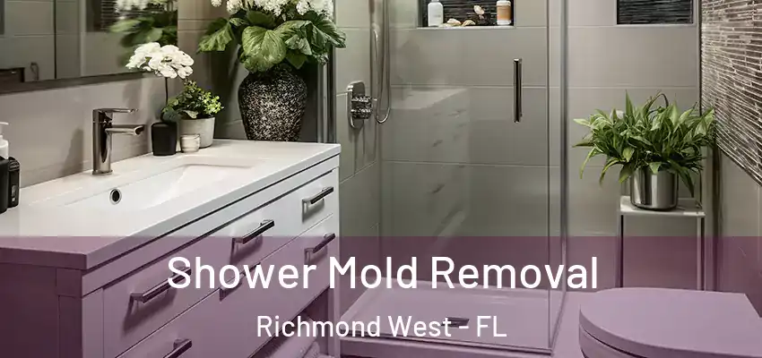 Shower Mold Removal Richmond West - FL