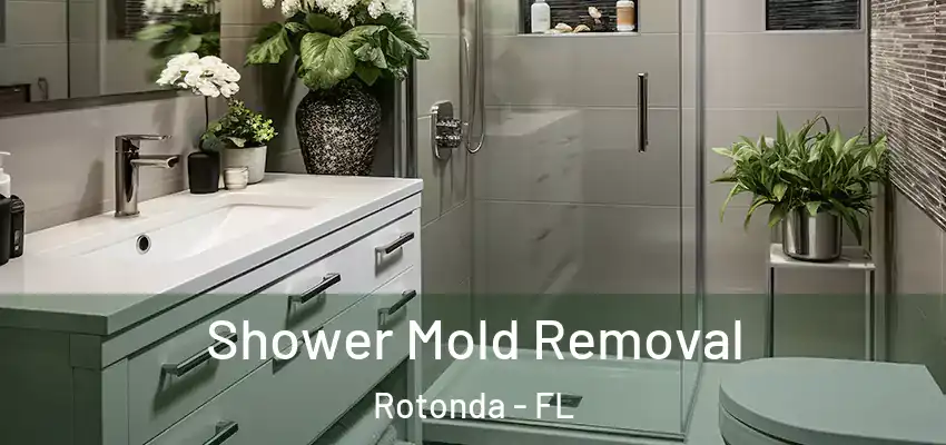 Shower Mold Removal Rotonda - FL