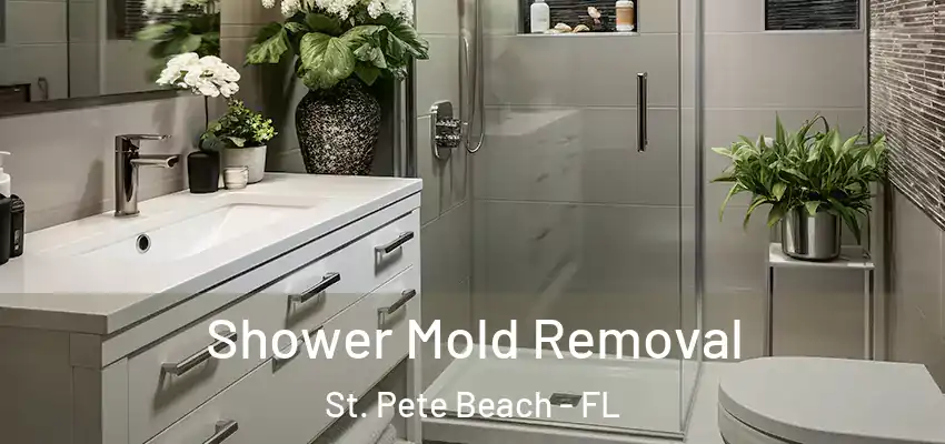  Shower Mold Removal St. Pete Beach - FL