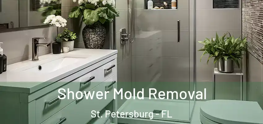 Shower Mold Removal St. Petersburg - FL