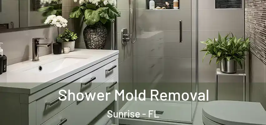 Shower Mold Removal Sunrise - FL