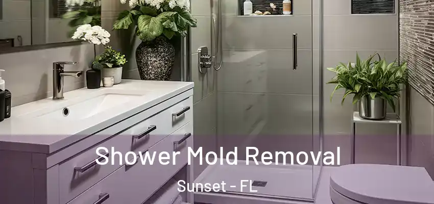 Shower Mold Removal Sunset - FL