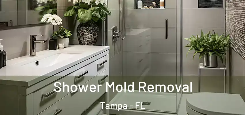  Shower Mold Removal Tampa - FL