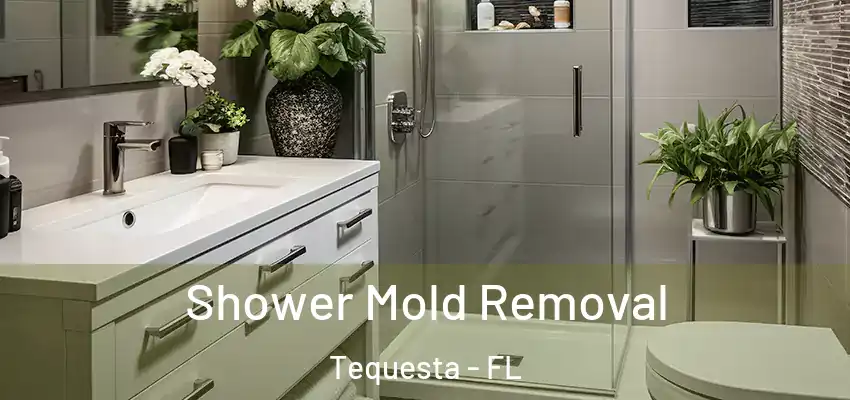  Shower Mold Removal Tequesta - FL