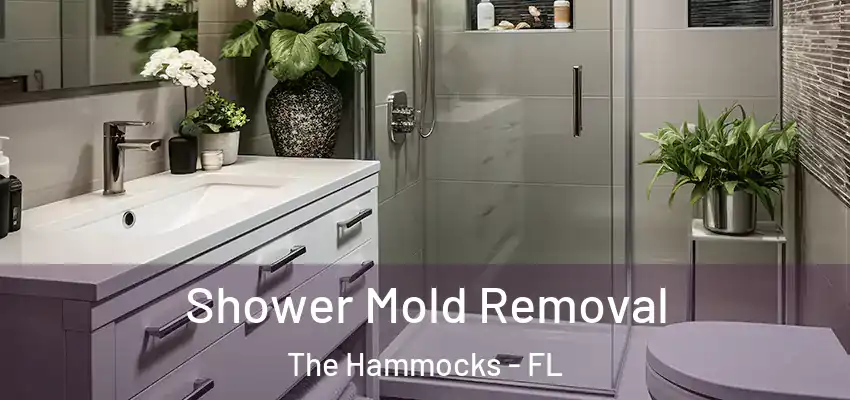 Shower Mold Removal The Hammocks - FL