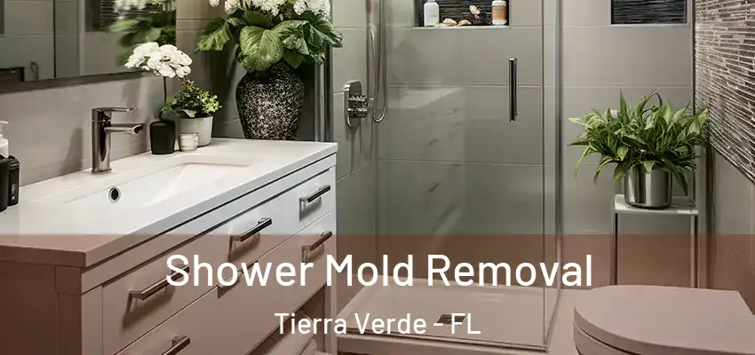  Shower Mold Removal Tierra Verde - FL