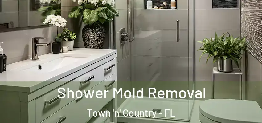  Shower Mold Removal Town 'n' Country - FL
