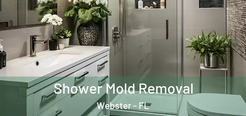 Shower Mold Removal Webster - FL