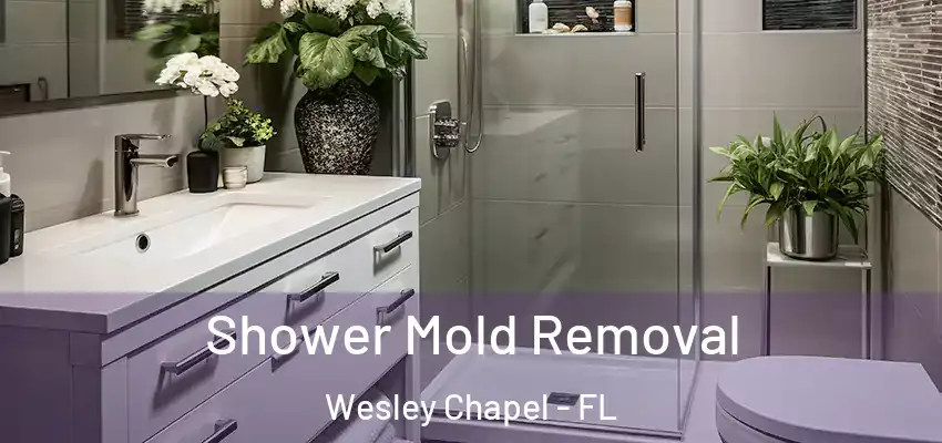  Shower Mold Removal Wesley Chapel - FL