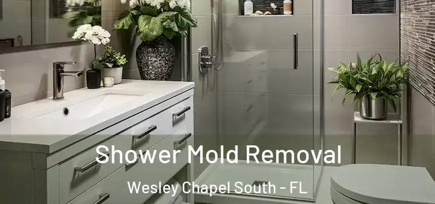  Shower Mold Removal Wesley Chapel South - FL
