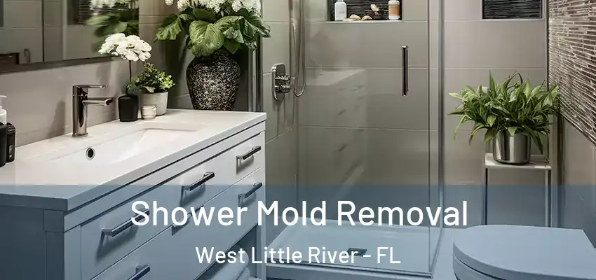  Shower Mold Removal West Little River - FL