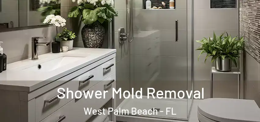  Shower Mold Removal West Palm Beach - FL
