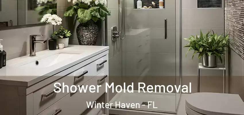 Shower Mold Removal Winter Haven - FL