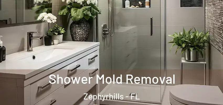 Shower Mold Removal Zephyrhills - FL